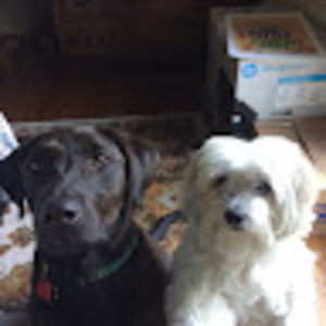 Meet your Posher, Anna